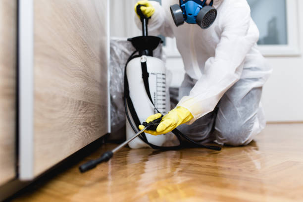 Best Pest Inspection Near Me  in Lake Delta, NY