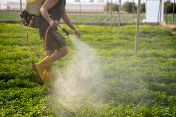 Reliable Lake Delta, NY Pest Control Solutions