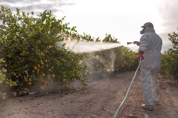 Pest Prevention Services in Lake Delta, NY
