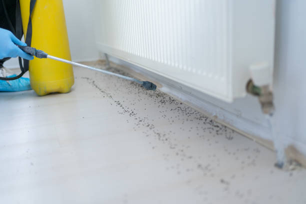 Best Pest Inspection Near Me  in Lake Delta, NY