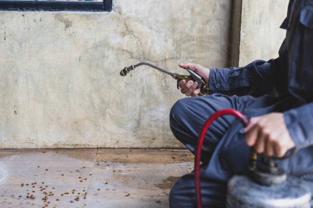 Best Exterminator Services  in Lake Delta, NY